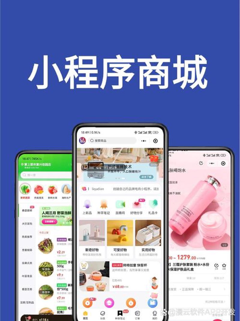 互联网营销:网络推广的实用指南